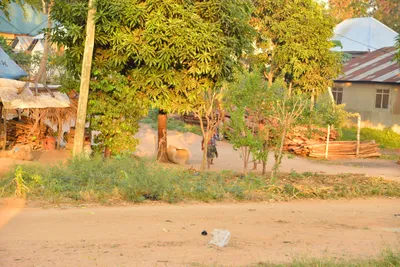 DSC_4275 (Large).JPG